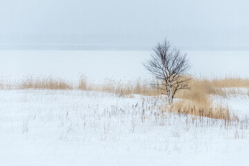 Naklejka na ściany i meble Hokkaido: frozen lake in winter