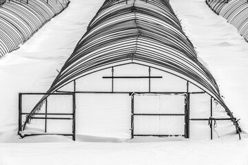 Hokkaido: greenhouse in winter