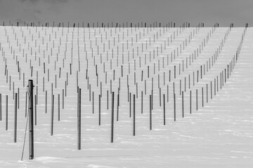 Hokkaido: posts in snow