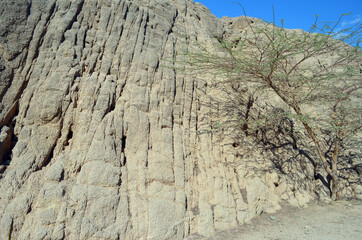 Desert of Sinai Peninsula, Egypt. Near Sharm El Sheikh
