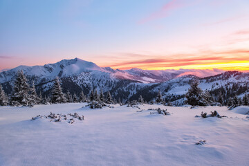 Fototapeta na wymiar Amazing sunrise. High mountain. Panoramic view. Winter forest. Natural landscape with beautiful pink sky. Snowy background. Location place the Carpathian, Ukraine, Europe.
