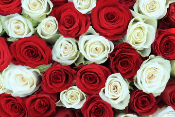 Red and white roses bridal flowers