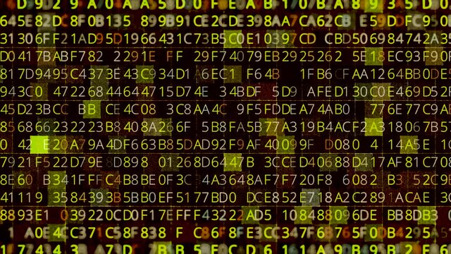 Colorful parallel rows of letters and numbers flickering fast on black background, seamless loop. Animation. Technology and hacking program concept.
