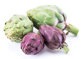 Obraz premium Artichoke flower, purple edible bud isolated on white background.