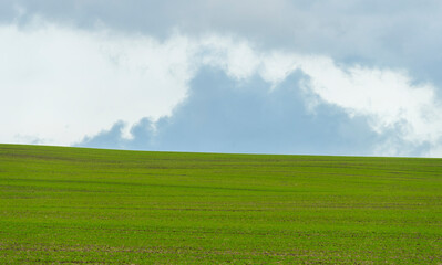 Fototapeta na wymiar Green grass field on big hills and blue sky with clouds.