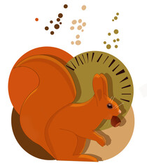 Illustration d'un écureuil roux