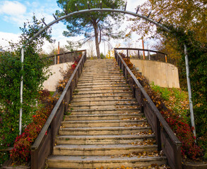 Fototapeta premium Stairs with plants and trees around