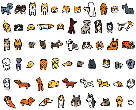 27 Best 土佐犬 Images Stock Photos Vectors Adobe Stock 27 Best 土佐犬 Images Stock Photos Vectors Adobe Stock