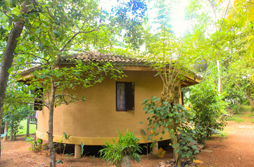 Fototapeta na wymiar A clay house in the jungle. Asia, nature and architecture of Sri Lanka
