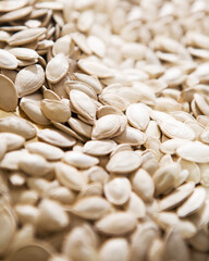 Pumpkin seed in a studio