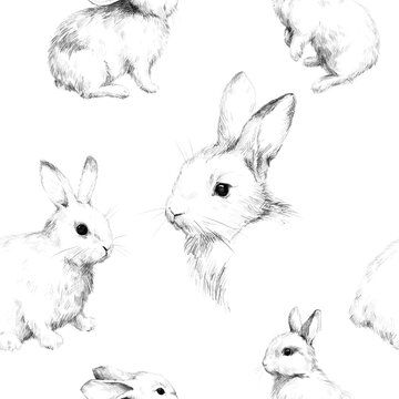 Drawing with rabbits collage cute fuzzy pattern 1 Pencil sketch