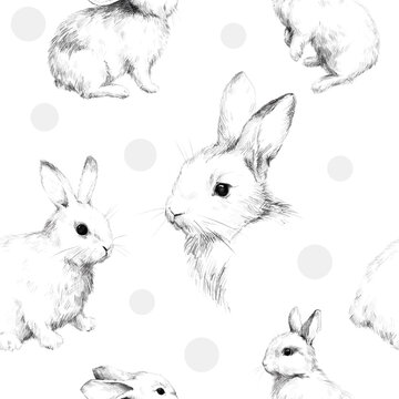 Drawing with rabbits collage cute fuzzy pattern 2 Pencil sketch With circles