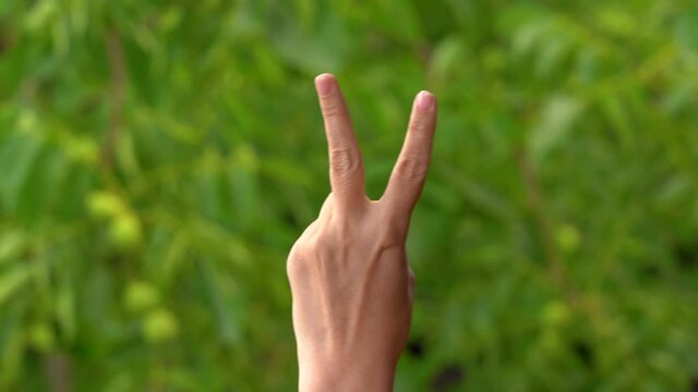 Woman raising two fingers up and showing peace or victory symbol or letter V. Female one hand holding two fingers up in sign language on green nature bokeh background. Fingernails with pink manicure.