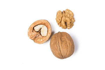 Many walnuts in studio
