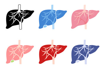 Obraz premium Internal human organs