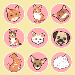 Fototapeta premium a set of round stickers with cute hand drawn pets - cats and dogs (corgi, pug, chihuahua). stickers for laptop, icons for websites and applications