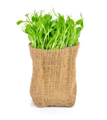 Naklejka premium Snow pea sprouts on white background