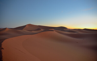 Fototapeta na wymiar Sanddünen in der Wüste im frühen Morgenlicht