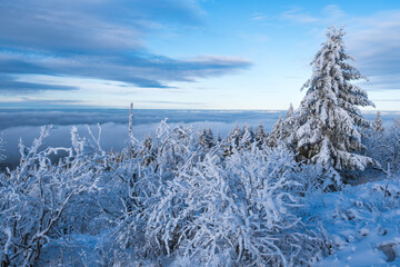 Wonderful Winter Wonderworld on the highest mountain in Hesse / Germany, the Great Feldberg