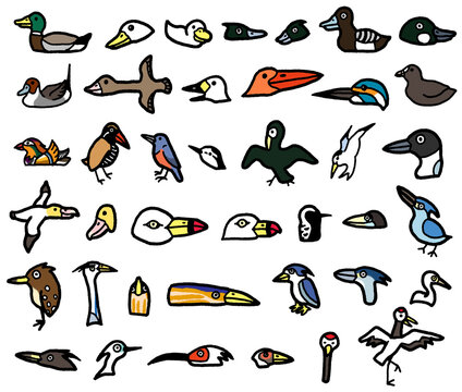 鷺やカモメなどの水鳥のイラスト