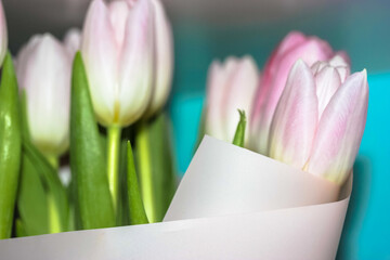 A bouquet of gently pink tulips in white kraft wrapping paper. Holiday greetings for a girl or a mother