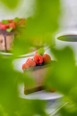 Chocolate cheesecake with fresh raspberries and mint leaves.