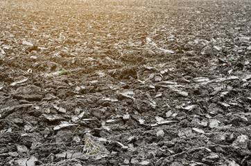 Plowed black earth soil on field