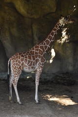 Taipei Zoo in Taipei, Taiwan