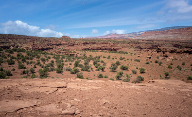 Naklejka premium Amazing sandstone monoliths in a barren desert prairie on a blue partly cloudy summer day at Capitol Reef National Park in Torrey Utah