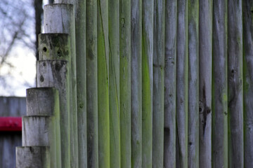 Perspective of an old designer log fence, England