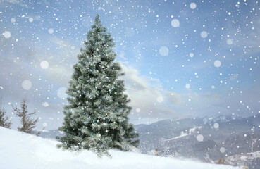 Beautiful Christmas tree outdoors, space for text. Bokeh effect