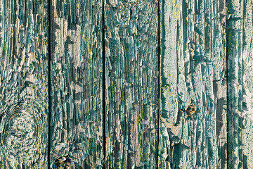 Texture of wood. Old wooden background