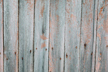 Texture of wood. Old wooden background