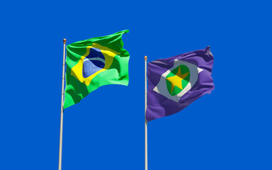 Mato Grosso Brazil State Flag