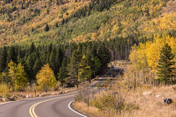 Fototapeta premium Die Route 36 durch den Rocky Mountains Nationalpark in Colorado