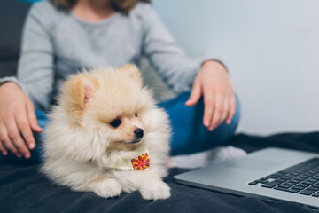 girl playing with her puppy at home