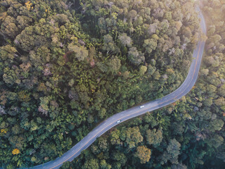 Adventure curve highway road on mountain surround by green forest aerial drone shot