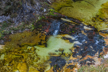 basin with green moss and stones and clear water from a torrent