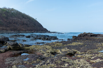 Fototapeta na wymiar Panoramic view of rocks with seaside lichens growth at Velneshwar beach, Maharashtra, India