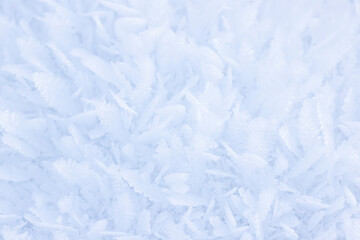 Fototapeta na wymiar White snow winter cover close up selective focus