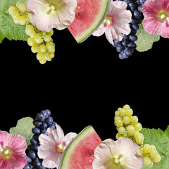 Beautiful background of mallow and grapes. Isolated