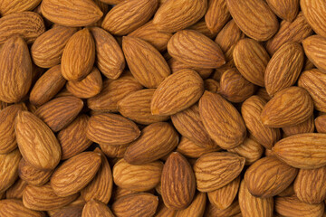 Almond nut in studio