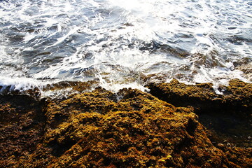 livorno beach , Tuscany , Italy