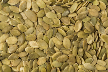 Pumpkin seed in a studio