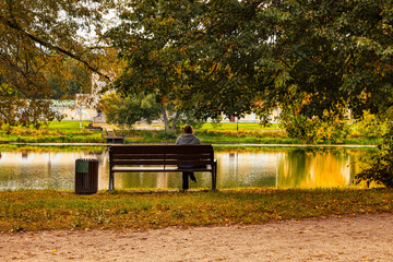 a woman sits on a bench under the branches of an old tree on a sunny day in early autumn and looks at the calm water of the lake