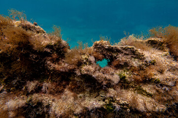 underwater world
