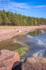 the shore of the gulf of finland of the baltic sea on a sunny summer day. Green pines, blue sky, huge boulders in the water and on the shore