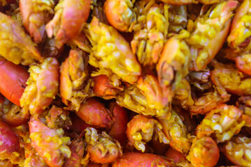 Jingking / undur-undur goreng. Fried sand crab.