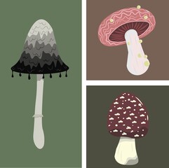 Flat vector illustration collage with mushrooms. Various types of mushrooms in muted colors.