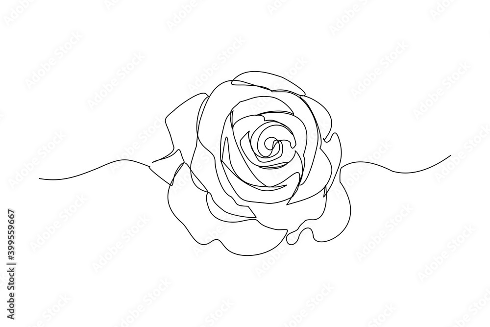 Wall mural continuous line drawing of rose flower. one line art concept of beautiful floral for love greeting.  - Wall murals